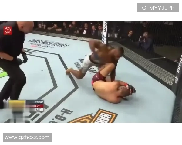 MMA格斗之夜:KO瞬间集锦