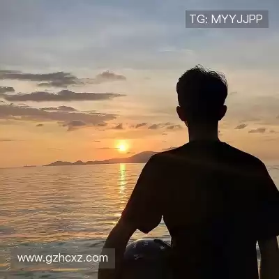 苗桔戈